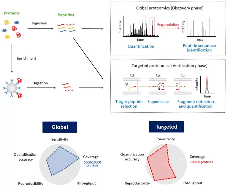LC-MS/MS workflow for quantitative proteomics in oncoproteomics cancer research